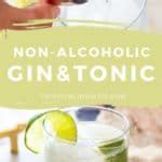 Non-Alcoholic Gin and Tonic Recipe - This Vivacious Life