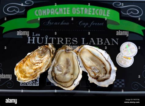 France, Gironde, Bassin d'Arcachon, oysters, Olivier Laban Stock Photo ...