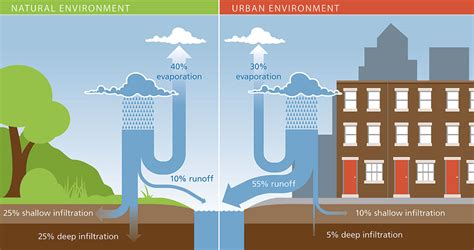 Here’s how the urban water cycle impacts your neighborhood - UF/IFAS Extension Pinellas County