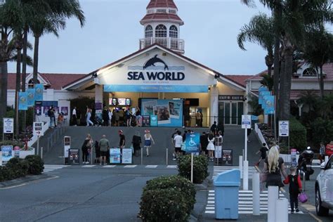 Best 5 fun things to do in Sea World Gold Coast