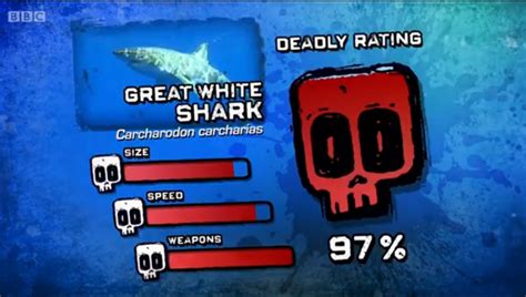 Great White Shark | Deadly 60 Wiki | FANDOM powered by Wikia