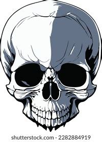 Minimalist Human Skull Realistic Vector Illustration Stock Vector (Royalty Free) 2282884919 ...