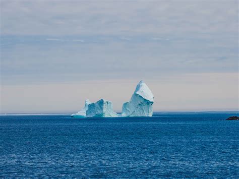 The Famous Ferryland Iceberg | Nathan Ryan | MARKET