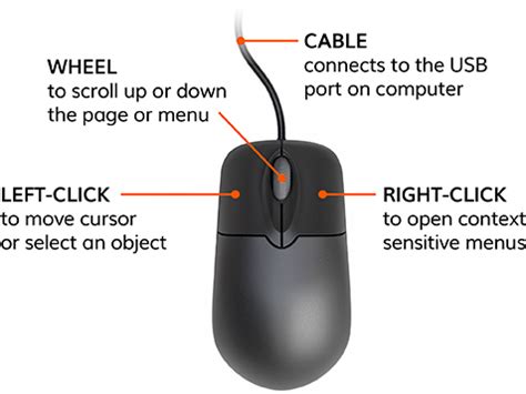 Labeled Computer Mouse