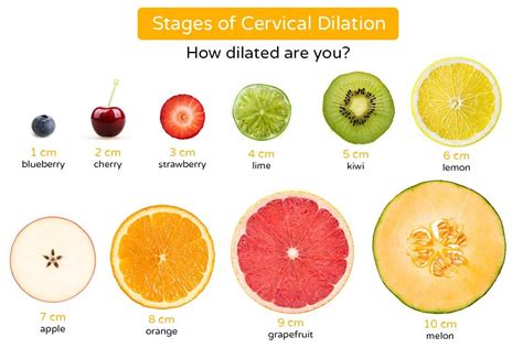 Cervical Dilation