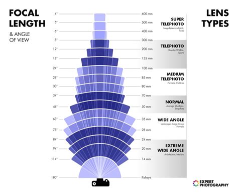 What Is a Wide Angle Lens? (Types & 6 Best Ways to Use One)