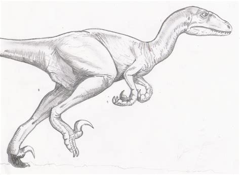 Raptor Dinosaur Drawing at GetDrawings | Free download