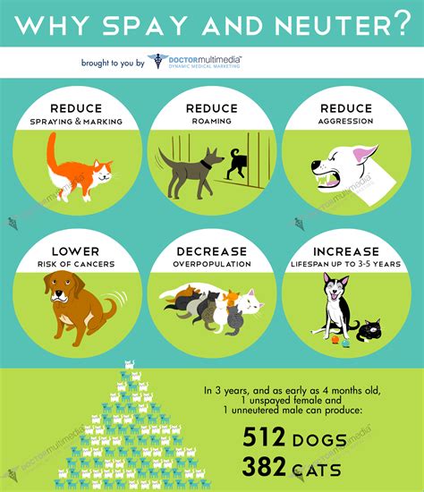 Share this Spay & Neuter Infographic - Medical Websites & Healthcare Marketing | Doctor Multimedia