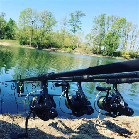 Best Carp Rods List - 2024 Carp Rod Reviews