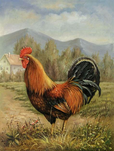 Vintage Rooster Print... | Pinturas renascentistas, Arte em aquarela ...