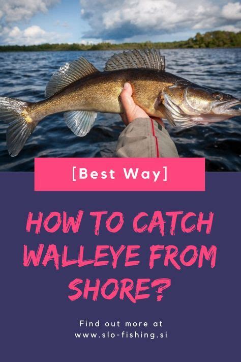 Walleye Fishing From Shore [How to Catch It?] | Walleye fishing tips, Walleye fishing, Walleye
