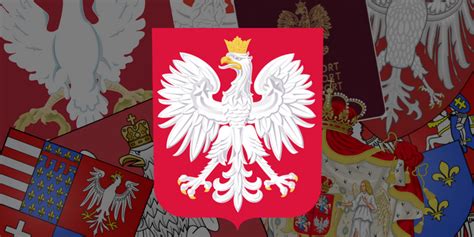 Polish Crowned White-Tailed Eagle Poland Coat Of Arms Magnet | ubicaciondepersonas.cdmx.gob.mx