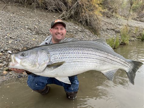 Team stripper fishing – Telegraph