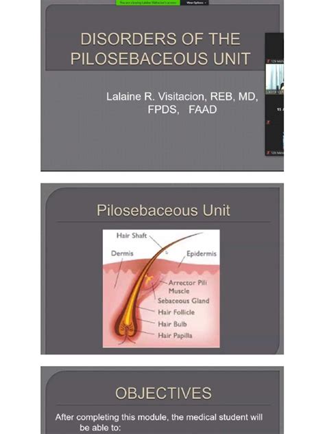 Disorders of Pilosebacious Unit | PDF | Integumentary System | Causes Of Death