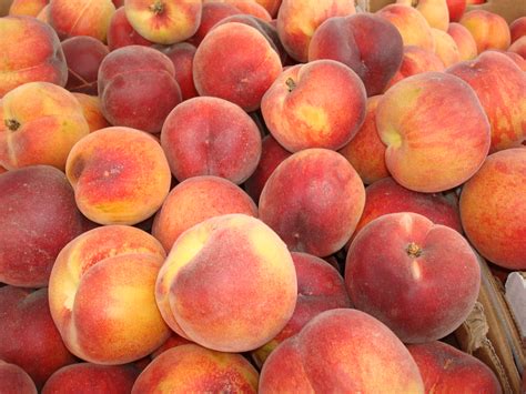 Organic Freestone Peaches....and new vendors! - Oregon City Farmers Market