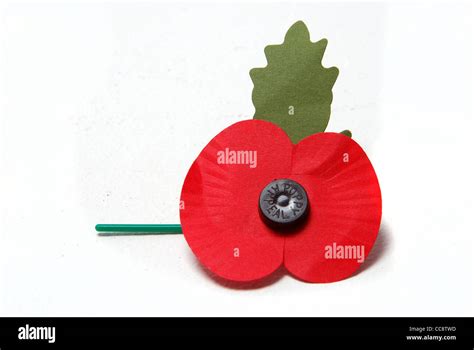 Royal British Legion poppy Stock Photo - Alamy