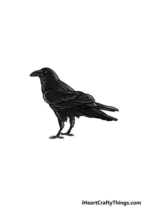 Crow Drawing - How To Draw A Crow Step By Step