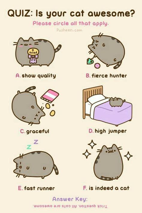 Pin by Hellen Rose on Memes | Pusheen cat, Pusheen, Crazy cats