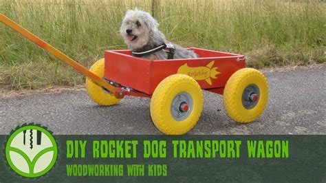 DIY Dog Transport Wagon (how to build) - woodworking with kids - YouTube