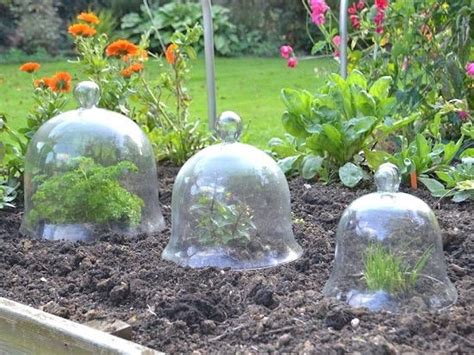 18 Great DIY Garden Cloche Ideas for Plants | Balcony Garden Web