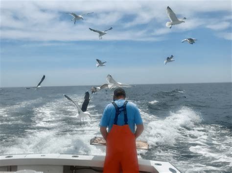 Fishing Charters Gloucester, Massachusetts Cod and Haddock Report!