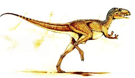 Abelisaurus Pictures & Facts - The Dinosaur Database