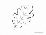Free Printable Oak Leaf Coloring Page  KirailReid sketch template