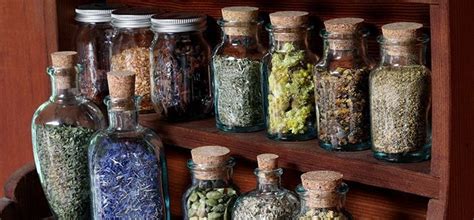 Creating Your Home Herbal Apothecary | Herbal apothecary, Herbalism, Herbal medicine