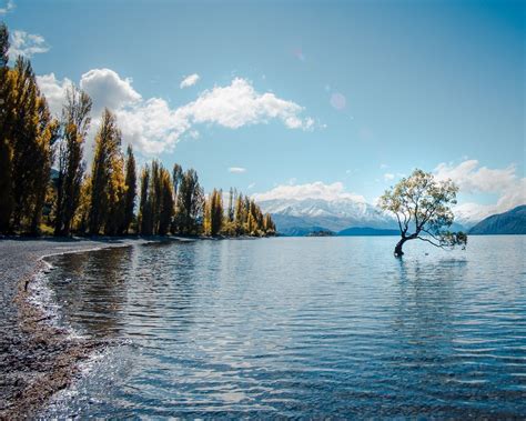 The 5 Best Natural Wonders to See in New Zealand | Travel Insider