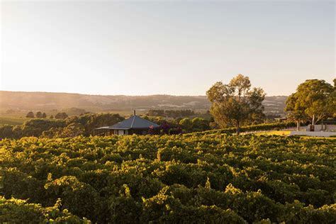 The Vineyard Retreat McLaren Vale Hotel Review, South Australia | Travel