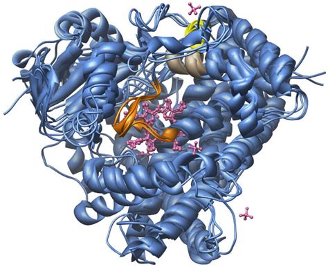 CYP3A4 Enzyme Inhibitors