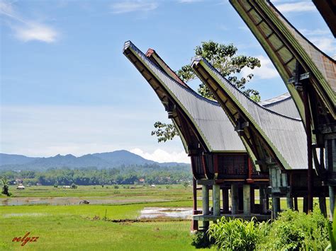 Littlenomadid -Indonesian Travel Blogger: Tana Toraja: Wonderful ...