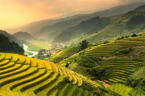 Premium Photo | Terraced rice paddy field landscape of northern vietnam