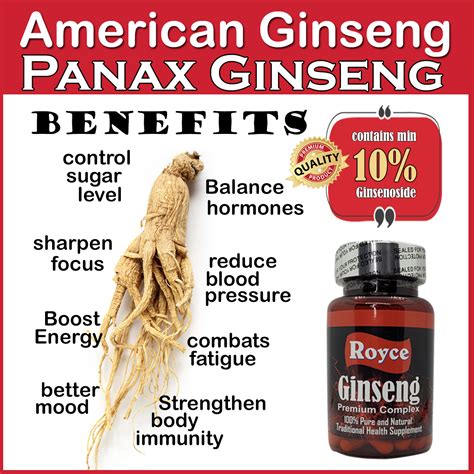 Panax Ginseng+ complex – Royce Health