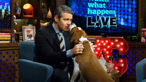 11 facts about Andy Cohen’s dog that you should definitely know – SheKnows