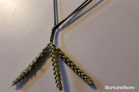 How to make a corn dolly craft for a harvest celebration - NurtureStore