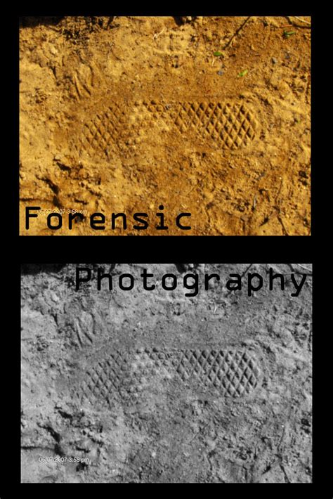 Forensic photography by fixedyetbroken on deviantART