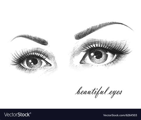 Beautiful eyes Royalty Free Vector Image - VectorStock