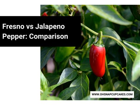 Fresno vs Jalapeno Pepper: Comparison - Oh Snap! Cupcakes