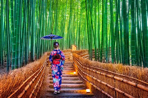 Discover Kyoto’s Arashiyama Bamboo Forest - JAPAN AIRLINES (JAL)