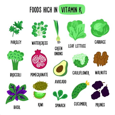 Foods High in vitamin K. Vector illustration with healthy foods rich in vitamin K. Organic Food ...