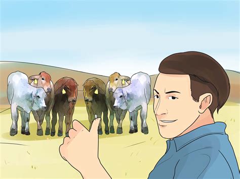 How to Raise Cattle: 10 Steps (with Pictures) - wikiHow