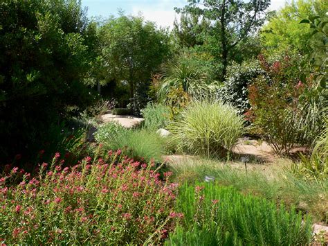File:Springs Preserve garden plants.jpg - Wikipedia