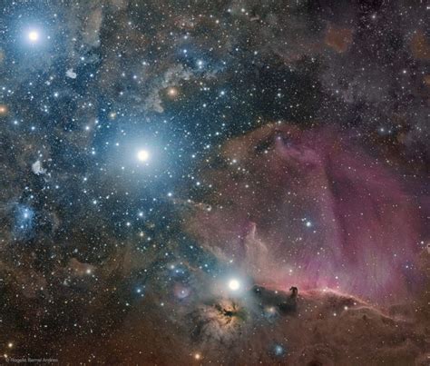 Orion: Belt, Flame, and Horsehead Nebula - Spacevolve