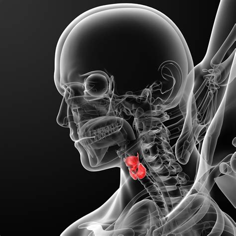 What causes airway obstruction? – Article 999