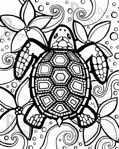 Loggerhead Turtle Drawing at PaintingValley.com | Explore collection of ...