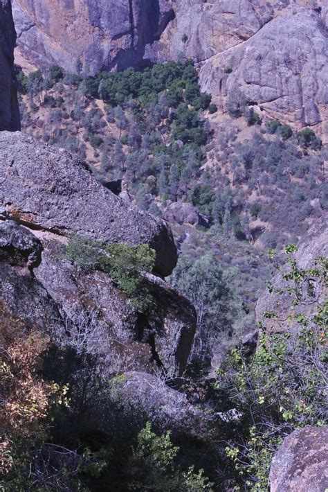 Pinnacles National Park | American Condors | Joseph Wingenfeld | Flickr