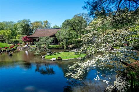 Shofuso Japanese House and Garden - Guide to Philly