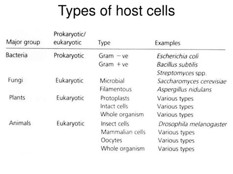 PPT - Types of host cells PowerPoint Presentation, free download - ID ...