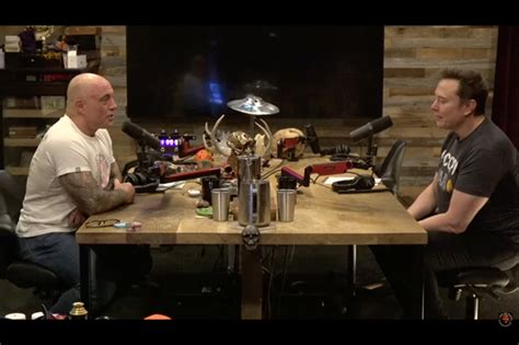 Joe Rogan endorses Trump after eleventh-hour Elon Musk interview - The ...